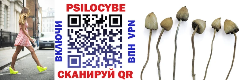 купить наркотики сайты  Буинск  Псилоцибиновые грибы Psilocybe 